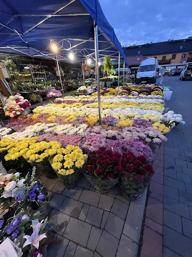 W krainie kwiatów M&K